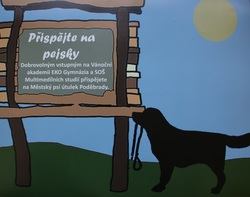 Vánoce v psím útulku