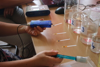 s img 4981 | WebJET CMS