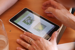 s img 7738 | WebJET CMS