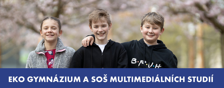 inzmedia30 291x2002 | WebJET CMS