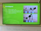 Školní ekologická konference
